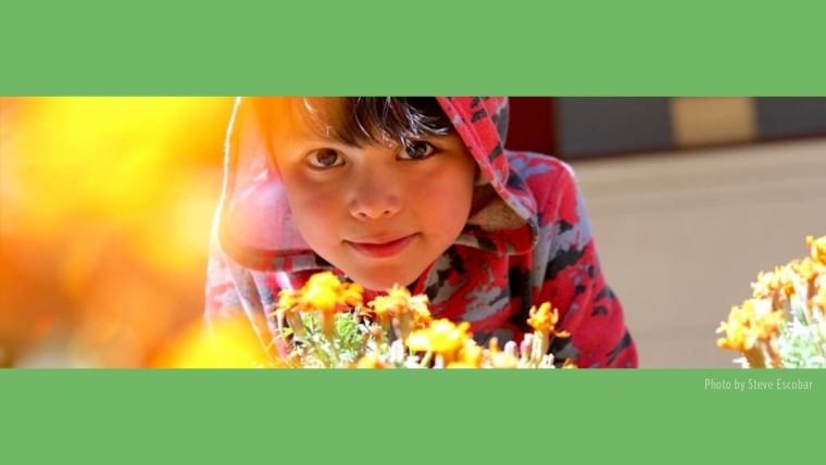 Child holding flowers and looking into the camera.