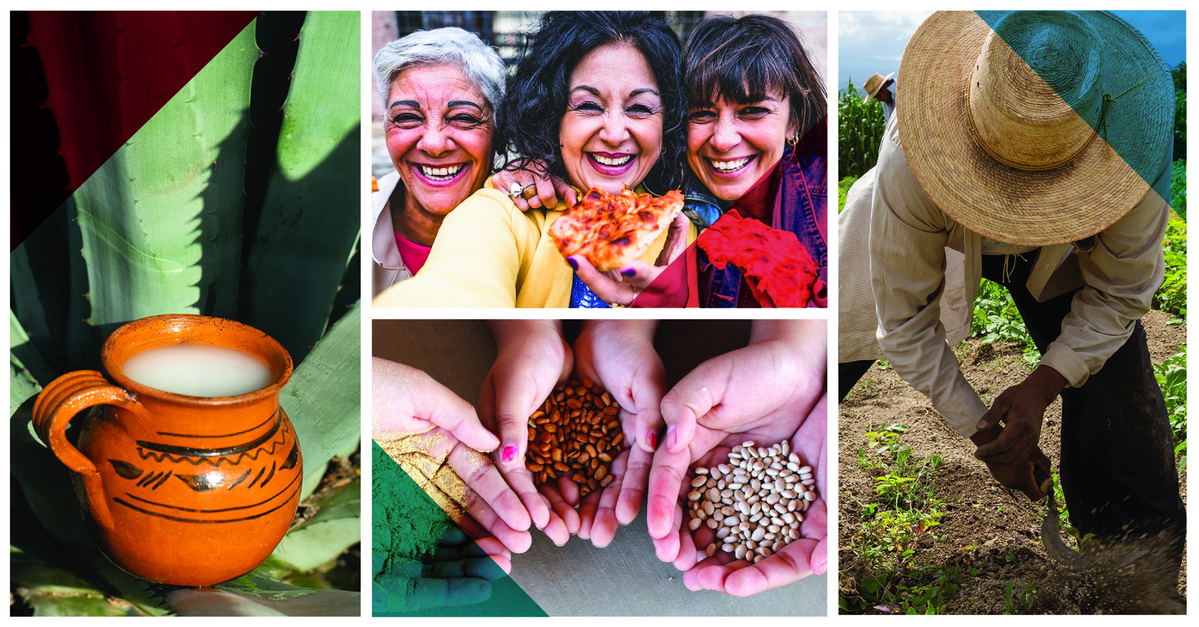 A collage of people farming, people eating pizza and smiling, a clay pot filled with agave, and cupped hands holding food ingredients.